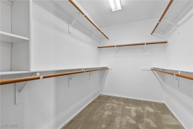 walk in closet with carpet