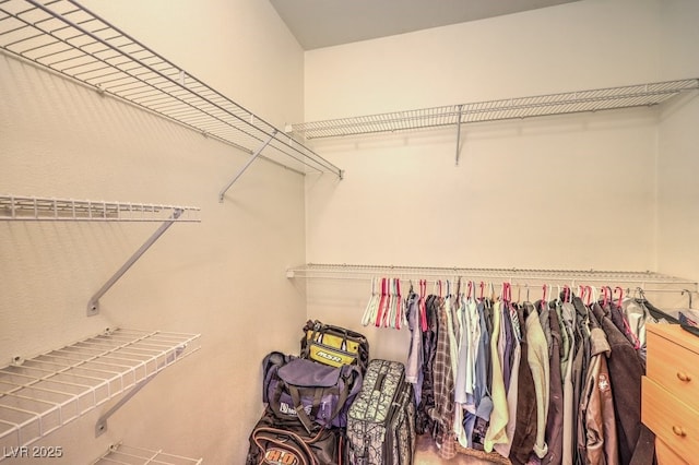 view of spacious closet