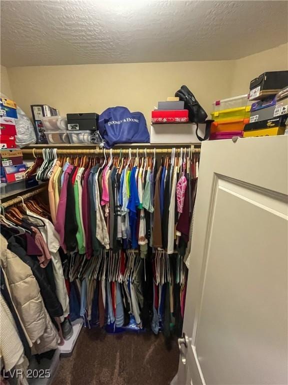 spacious closet with carpet