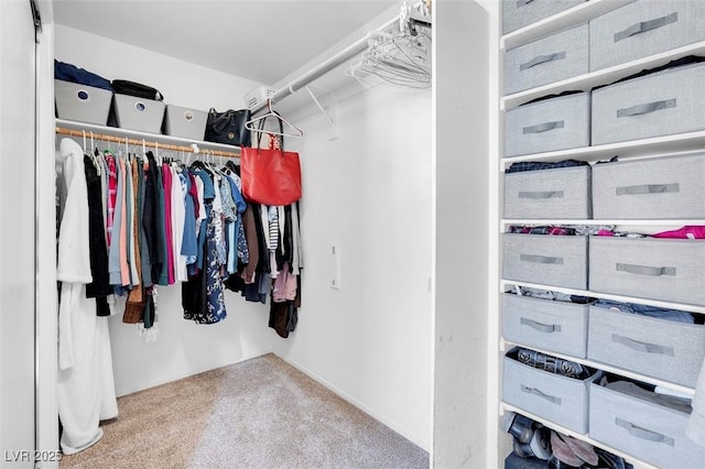 walk in closet with carpet floors