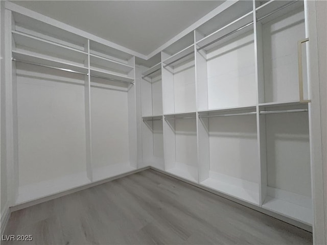 spacious closet featuring wood finished floors