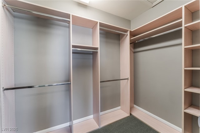 7219 Quiet Spring St, North Las Vegas, NV 89084 - view of walk in closet