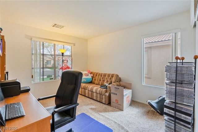 11007 Vallerosa St, Las Vegas, NV 89141 - photo 22