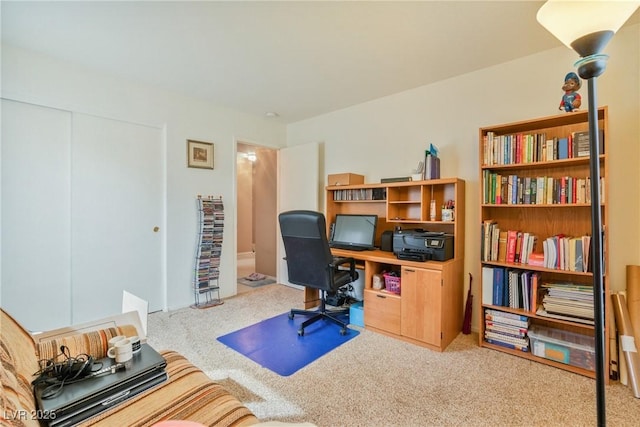 11007 Vallerosa St, Las Vegas, NV 89141 - photo 23