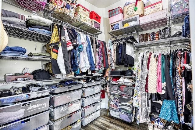 walk in closet featuring wood finished floors