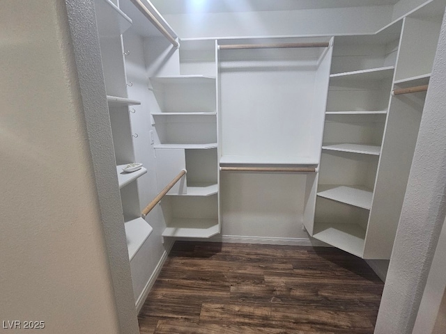spacious closet featuring wood finished floors