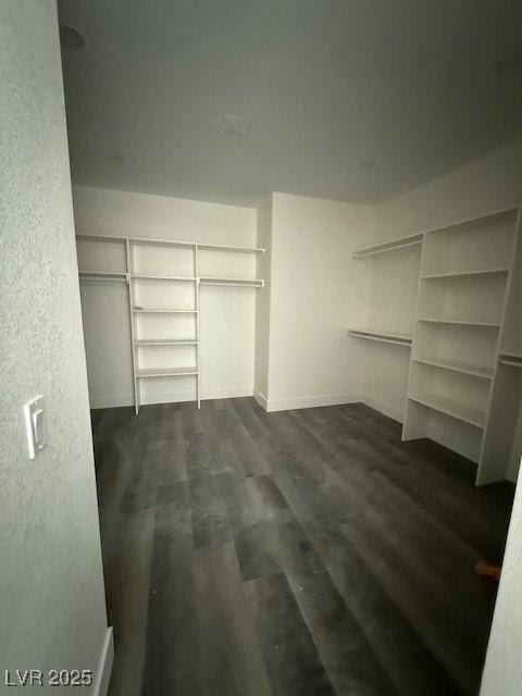 walk in closet featuring dark wood-type flooring