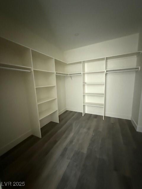 walk in closet with dark wood-style floors