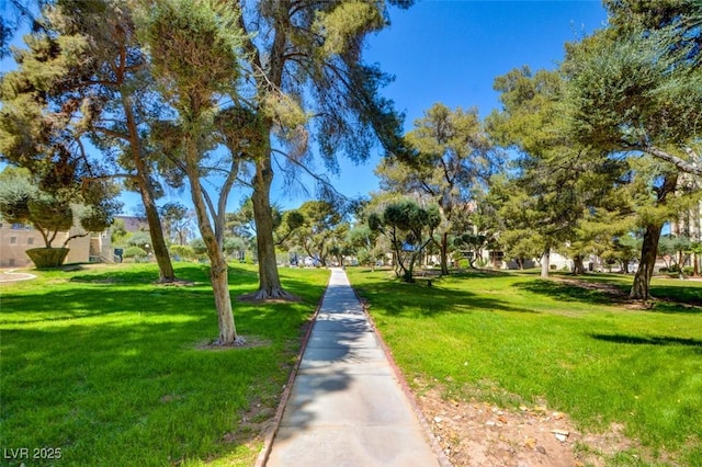 view of home's community with a lawn
