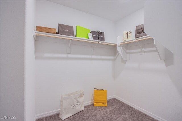 5748 Avondale Rise Way, Las Vegas, NV 89141 - walk in closet with carpet flooring