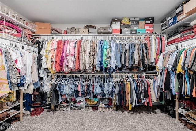 walk in closet featuring carpet