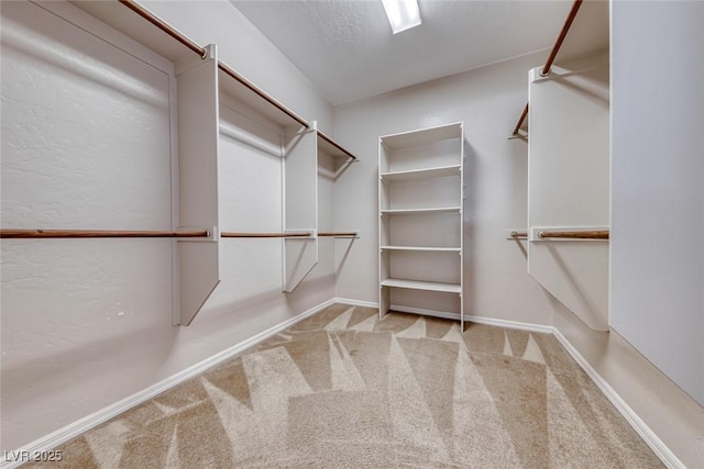 2528 Flodden St, Henderson, NV 89044 - walk in closet featuring carpet