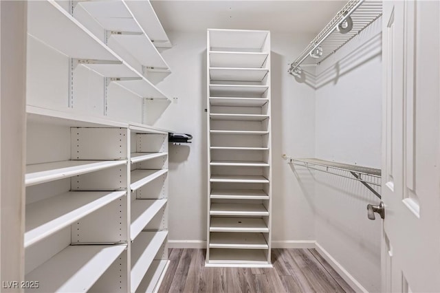 walk in closet featuring wood finished floors