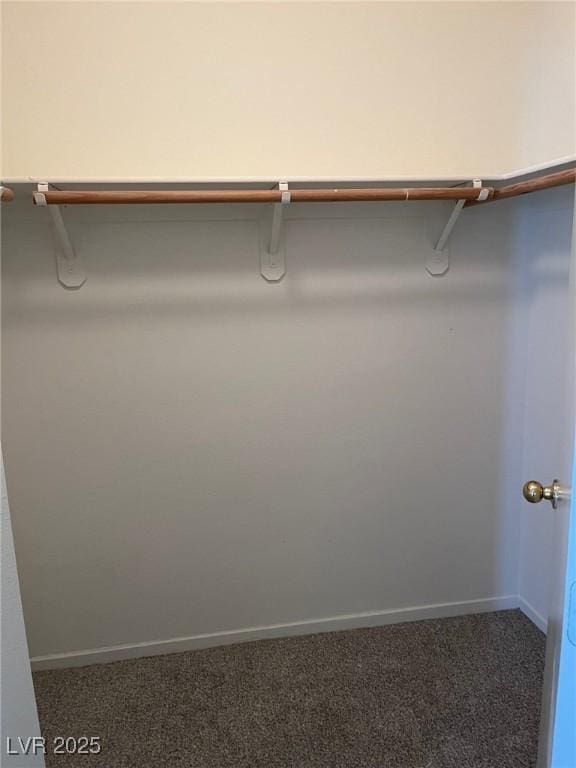 spacious closet with carpet floors