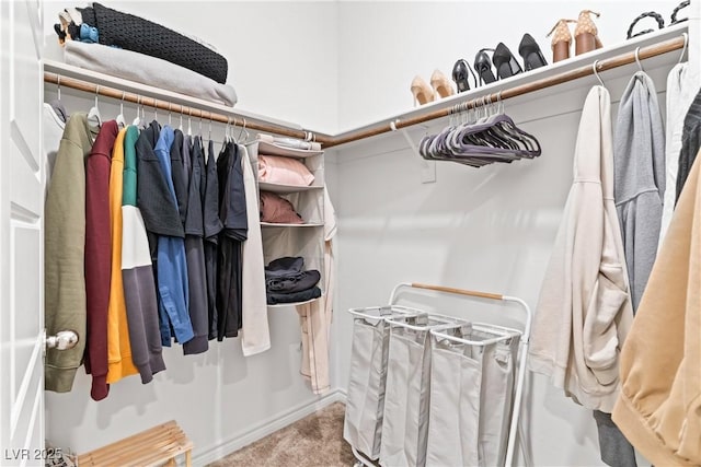 walk in closet with carpet
