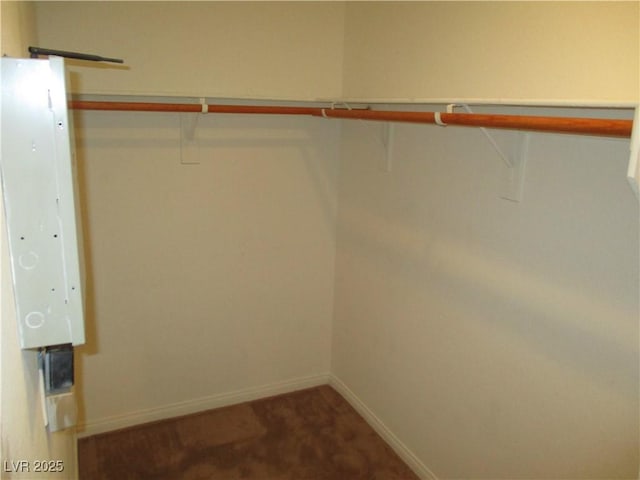 5481 Railroad River Ave, Las Vegas, NV 89139 - walk in closet with carpet floors and electric panel