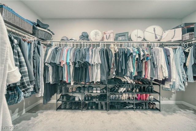 walk in closet with carpet