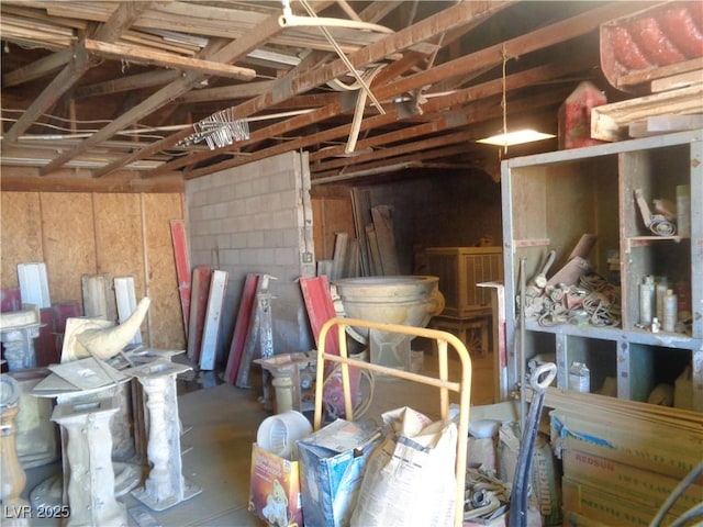 3127 Aloha Ave, Las Vegas, NV 89121 - view of storage area