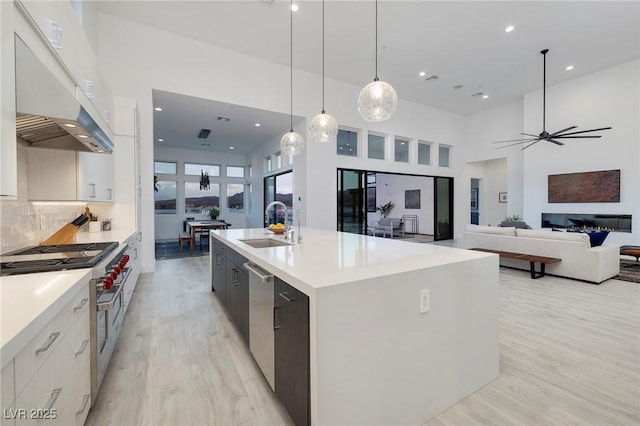 148 Tre Pietre St, Henderson, NV 89011 - kitchen with stainless steel appliances, under cabinet range hood, light wood finished floors, and modern cabinets