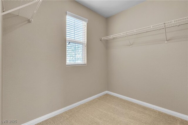 2376 Via Firenze, Henderson, NV 89044 - spacious closet with light carpet