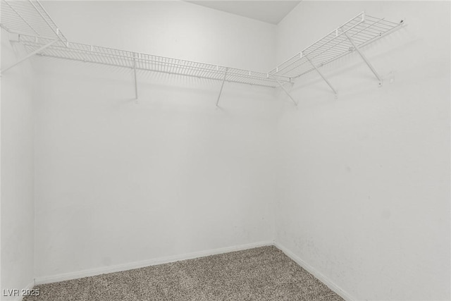 spacious closet with carpet floors
