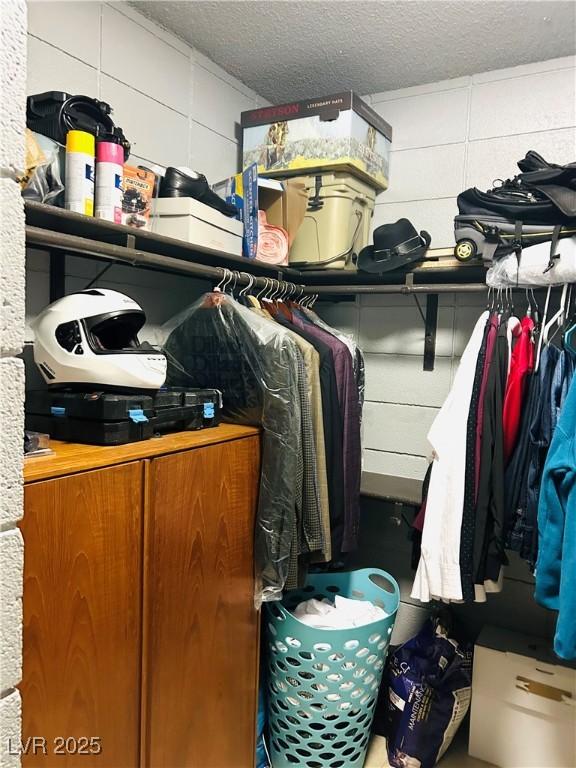 228 E Van Wagenen St, Henderson, NV 89015 - view of spacious closet