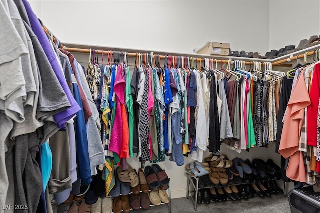 walk in closet featuring carpet