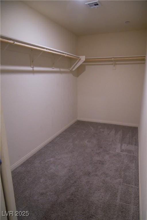 2765 Frosted Teal Ave, North Las Vegas, NV 89086 - walk in closet with carpet flooring