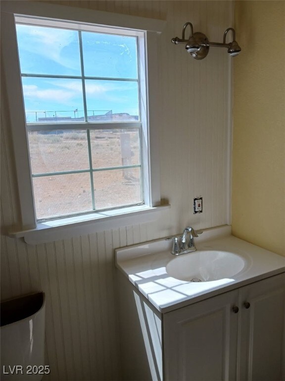 bathroom featuring vanity and a wealth of natural light