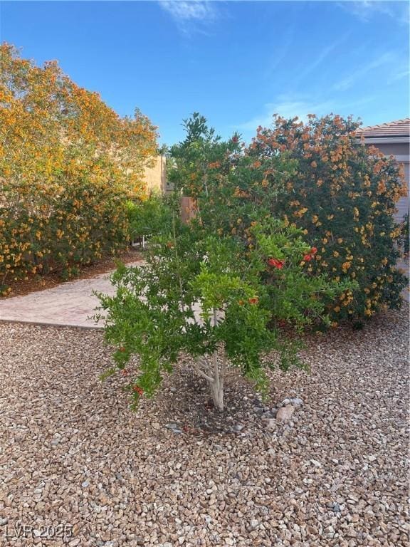 9731 Addie Meadow Ct, Las Vegas, NV 89149 - photo 32