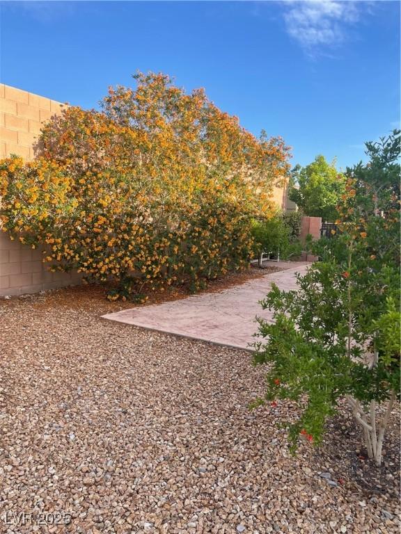 9731 Addie Meadow Ct, Las Vegas, NV 89149 - photo 33