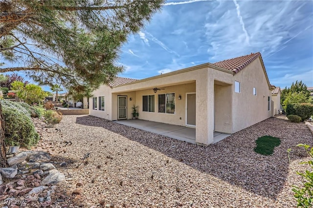 back of house with ceiling fan, a tiled roof, a patio area, and stucco siding