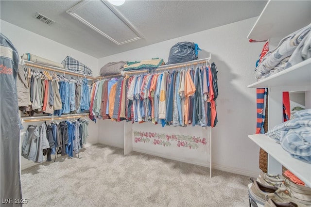 3424 Mount Charleston Dr, Pahrump, NV 89048 - spacious closet with carpet floors and attic access