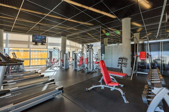 gym featuring a healthy amount of sunlight