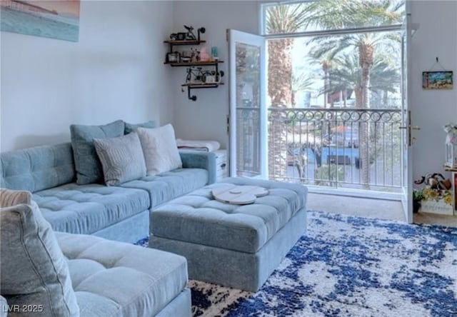 living area with carpet