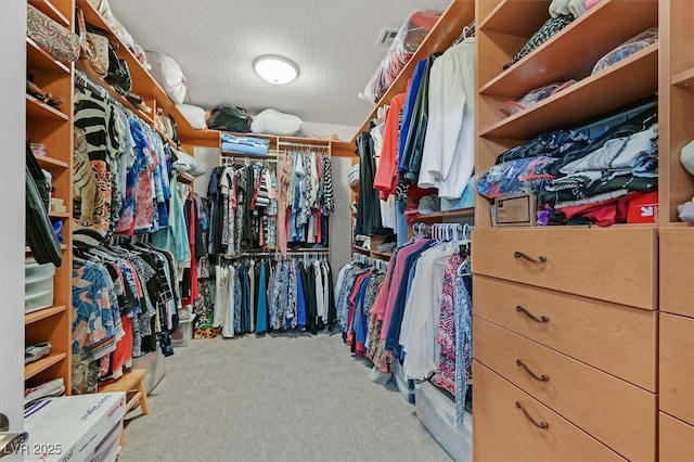 7741 Fruit Dove St, North Las Vegas, NV 89084 - spacious closet with carpet floors