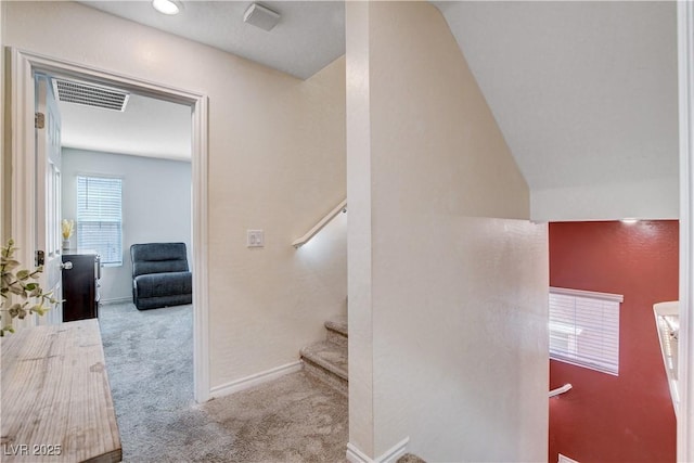 105 Campbelltown Ave, Henderson, NV 89015 - stairs with carpet flooring, baseboards, and visible vents