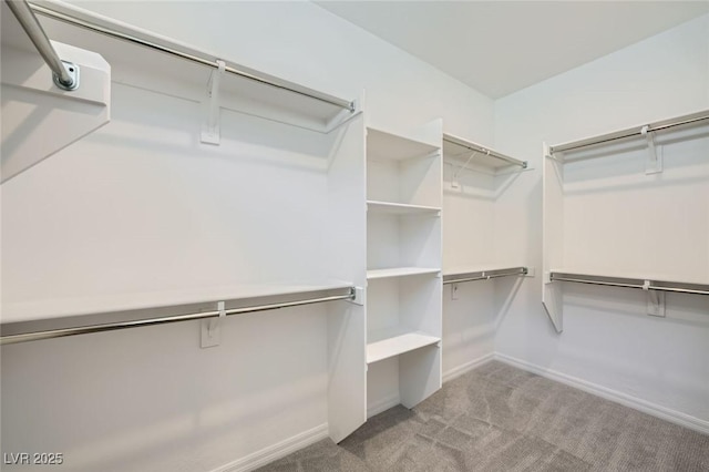 243 Sun Glaze Ave, Henderson, NV 89011 - walk in closet featuring carpet flooring