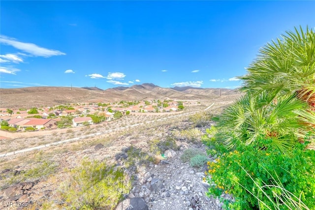 2324 Orangeburg Pl, Henderson, NV 89044 - photo 37