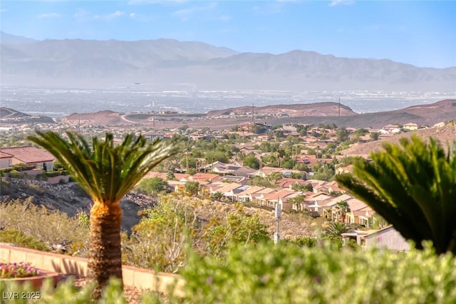 2324 Orangeburg Pl, Henderson, NV 89044 - photo 41