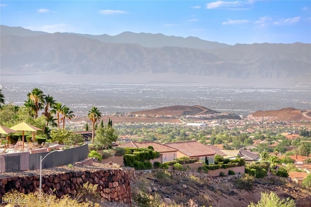 2324 Orangeburg Pl, Henderson, NV 89044 - photo 39