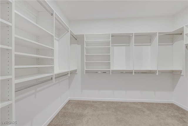 1609 Dream Canyon Ave, North Las Vegas, NV 89084 - walk in closet featuring carpet flooring