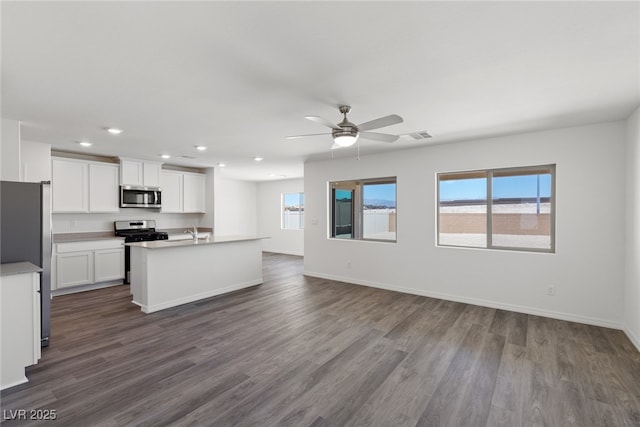 kitchen featuring ceiling fan, a sink, stainless steel appliances, and dark wood finished floors