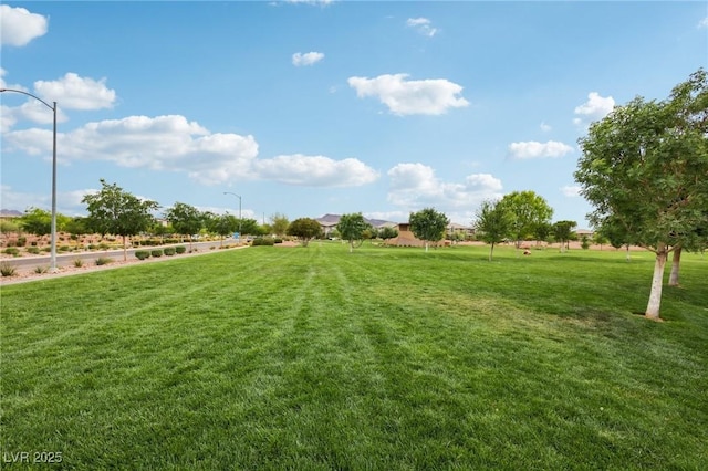 view of community featuring a rural view and a yard