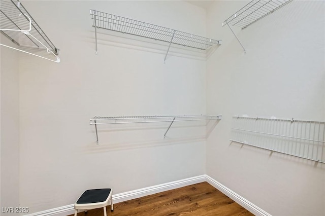 2409 Garganey Ave, North Las Vegas, NV 89084 - spacious closet with wood finished floors