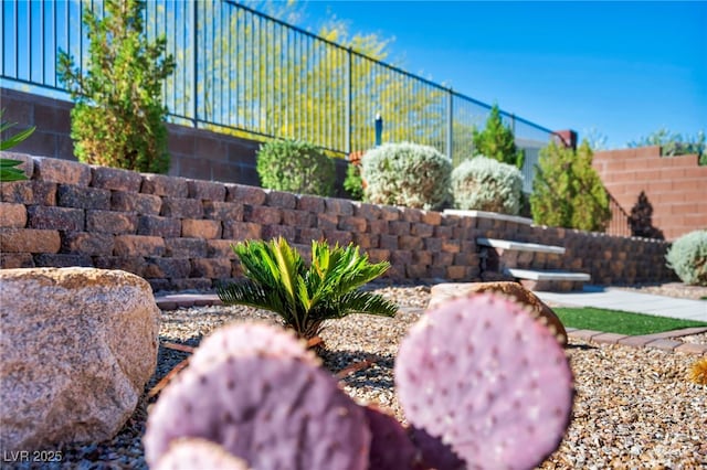 10348 Bressana Dr, Las Vegas, NV 89135 - view of yard featuring fence
