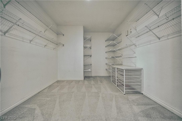 3891 Sedgwick, Pahrump, NV 89061 - spacious closet with carpet flooring