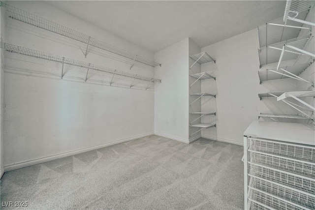 3891 Sedgwick, Pahrump, NV 89061 - walk in closet with carpet