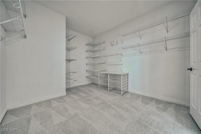 3891 Sedgwick, Pahrump, NV 89061 - walk in closet with carpet floors