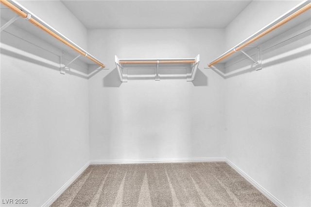 6952 Crimson Shadow St, North Las Vegas, NV 89086 - spacious closet featuring carpet flooring